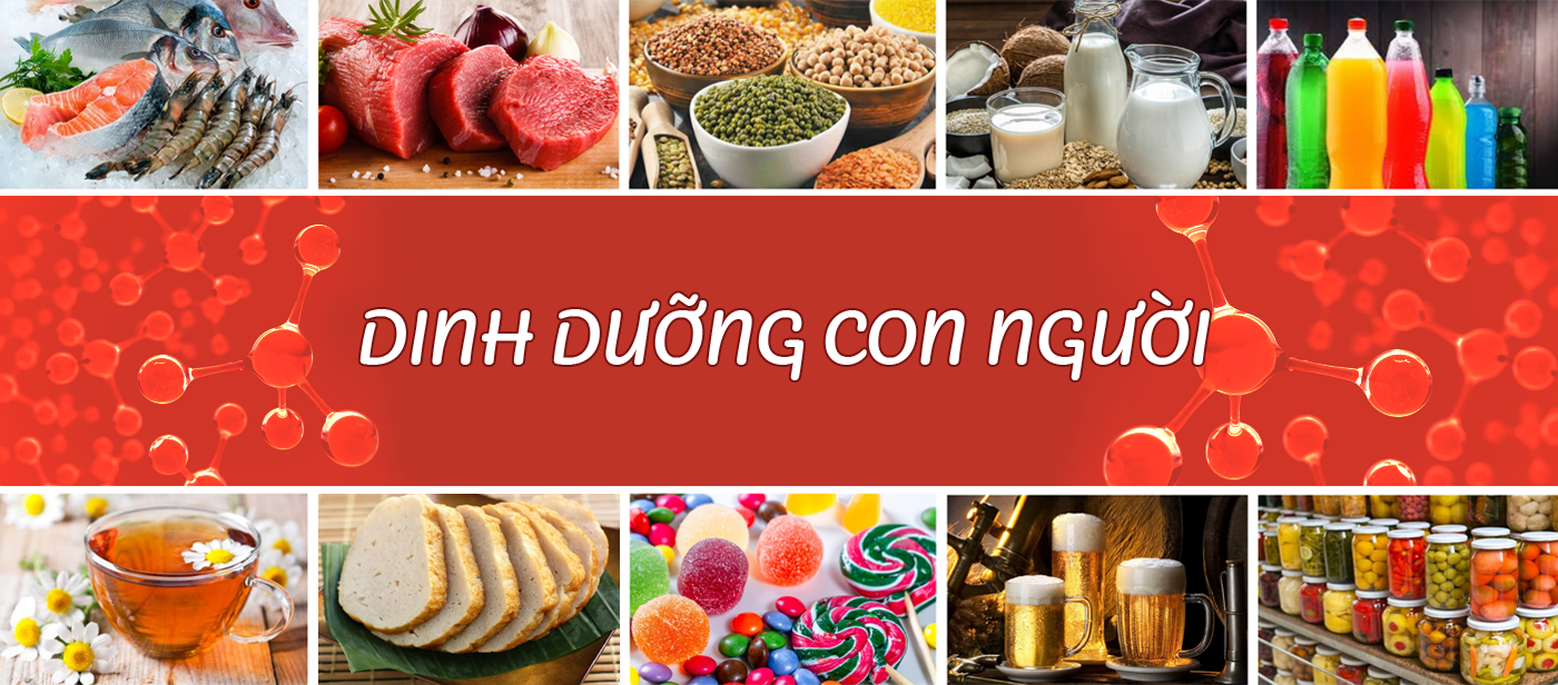 KIẾN VƯƠNG – KIẾN TẠO GIÁ TRỊ BỀN VỮNG